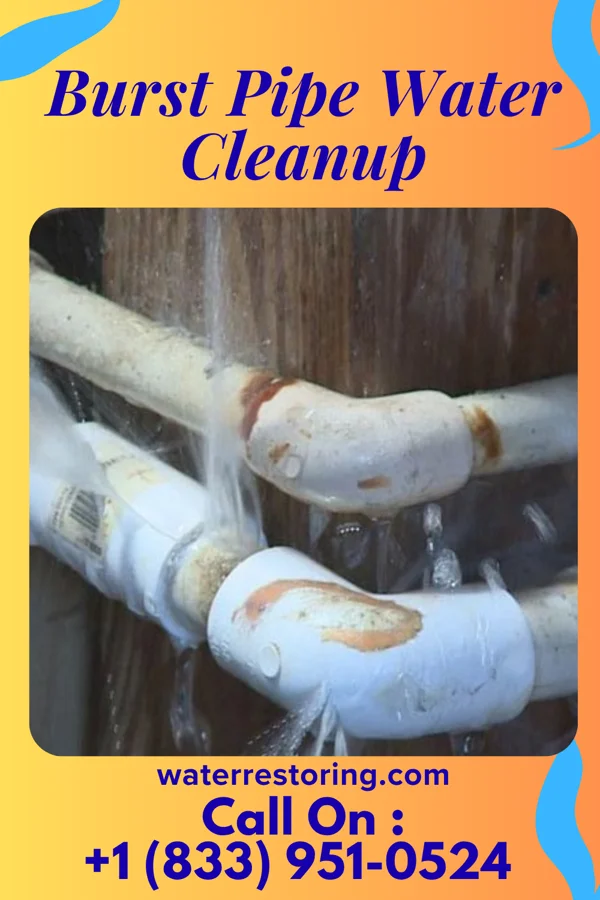 Burst Pipe Water Cleanup in Madison, NJ