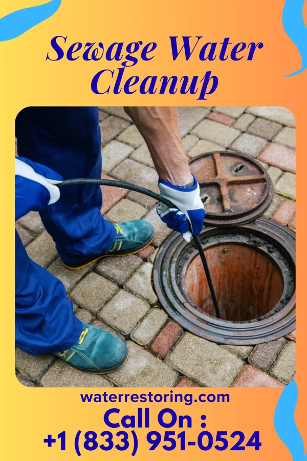 Sewage Water Cleanup in Madison, NJ