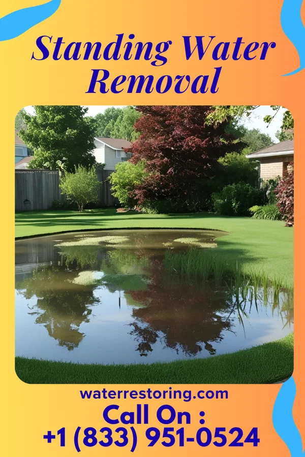 Standing Water Removal in Madison, NJ
